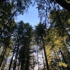 Meet your Posher, Blair